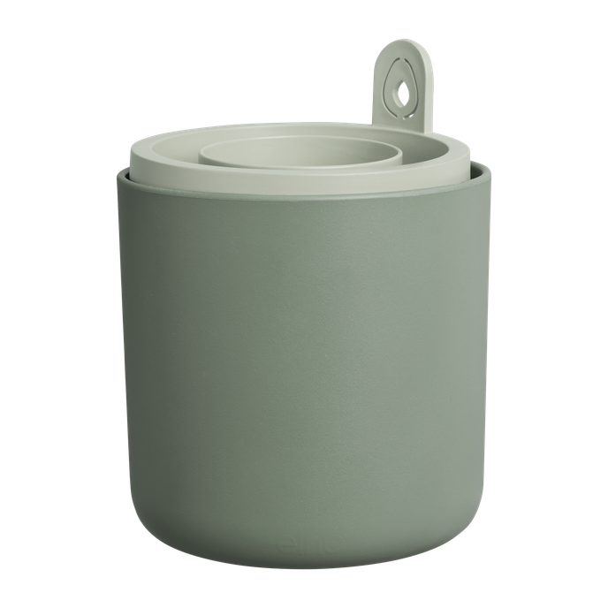 amazing avocado pot blad groen